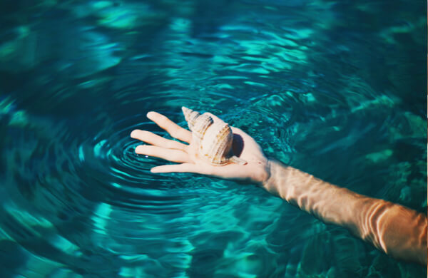 Hand Holding Seashell