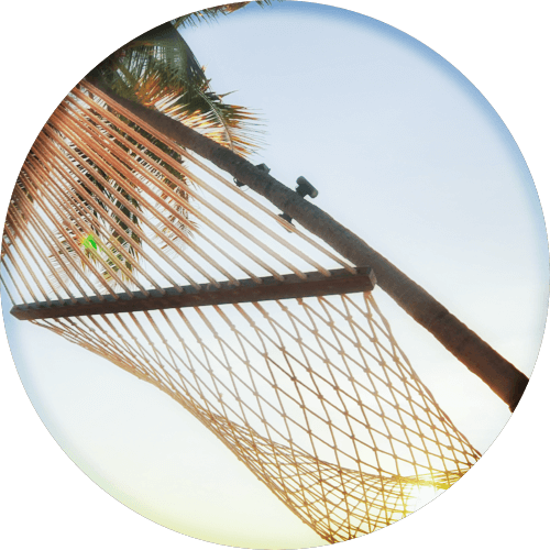 Hammock with Palm Tree